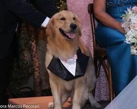 Casamento Cerimônia